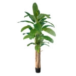 BANANA TREE 20019 - Τεχνητό Διακοσμητικό Φυτό Μπανανιά - Μπανανόδεντρο Υ280cm