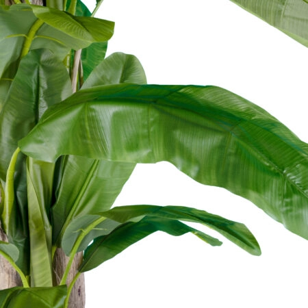 BANANA TREE 20019 - Τεχνητό Διακοσμητικό Φυτό Μπανανιά - Μπανανόδεντρο Υ280cm - Τεχνητες Μπανανιες Sticky 1