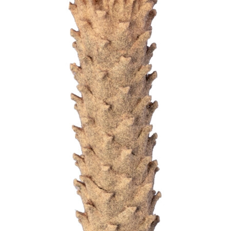 CYCADS 20023 Τεχνητό Διακοσμητικό Φυτό Αρωματική Κύκας Υ140cm - Τεχνητοι Φοινικες Sticky 2