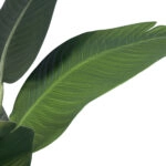 STRELITZIA 20024 Τεχνητό Διακοσμητικό Φυτό Στρελίτσια - Πουλί του Παραδείσου Υ90cm