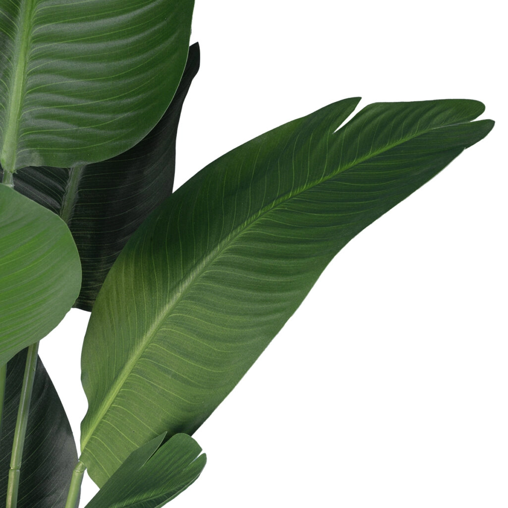 STRELITZIA 20026 Τεχνητό Διακοσμητικό Φυτό  Στρελίτσια - Πουλί του Παραδείσου Υ180cm