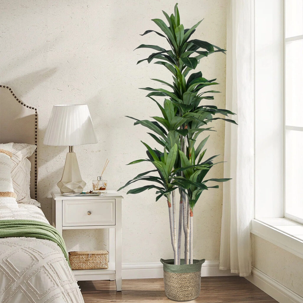 DRACAENA SILK 20044 - Τεχνητό Διακοσμητικό Φυτό Δράκαινα Υ170cm
