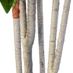 DRACAENA SILK 20044 - Τεχνητό Διακοσμητικό Φυτό Δράκαινα Υ170cm