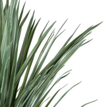 BEAUCARNEA PALM TREE 20046 Τεχνητό Διακοσμητικό Φυτό Κυρτόφυλλος Μπουκαρνέα Υ165cm - Τεχνητοι Φοινικες Sticky 1