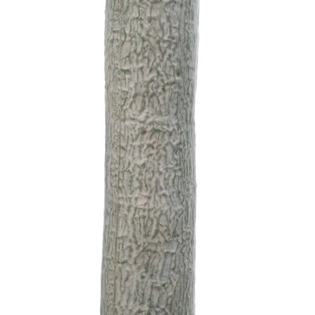 BEAUCARNEA PALM TREE 20047 Τεχνητό Διακοσμητικό Φυτό Κυρτόφυλλος Μπουκαρνέα Υ200cm - Τεχνητοι Φοινικες Sticky 3