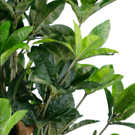FORTUNE GUIANA TREE 20056 Τεχνητό Διακοσμητικό Φυτό Καστανιά του Μαλαμπάρ Υ160cm - Τροπικα και Ιδιαιτερα Τεχνητα φυτα Sticky 1