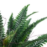FERN 20058 Τεχνητό Διακοσμητικό Φυτό Φτέρη Υ40cm