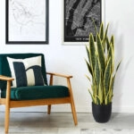 BLOODLEAF DRACAENA TRIFASCIATA 20061 Artificial Decorative Bloodleaf Sansevieria Plant H90cm