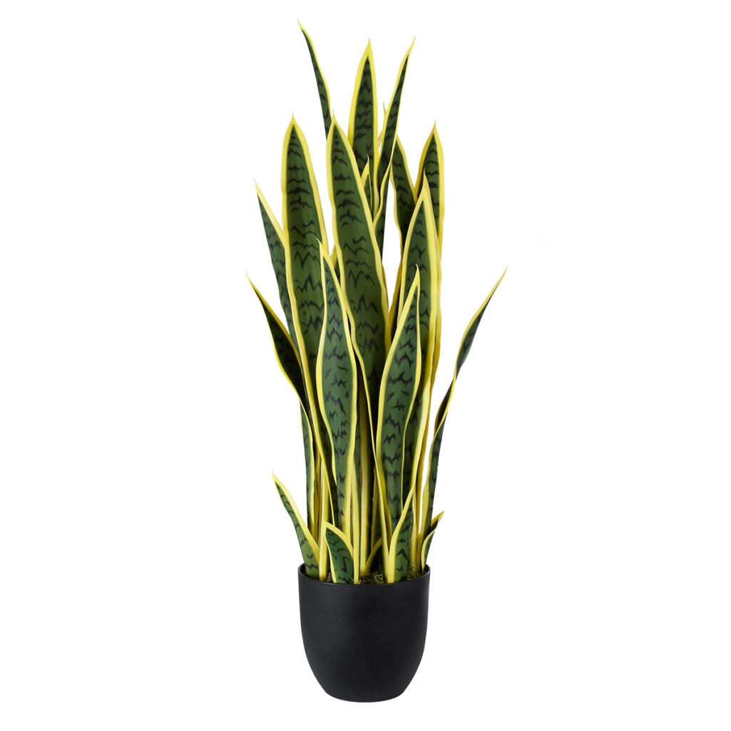 BLOODLEAF DRACAENA TRIFASCIATA 20061 Artificial Decorative Bloodleaf Sansevieria Plant H90cm