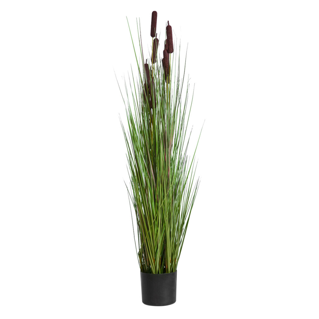 TYPHA ANGUSTIFOLIA GRASS 20070 Τεχνητό Διακοσμητικό Φυτό Γρασίδι της Τύφας Υ120cm