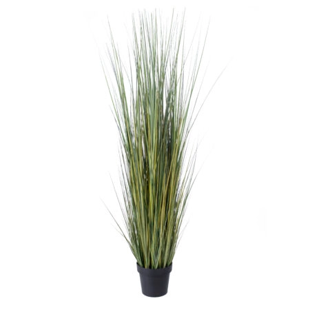PAMPAS GRASS 20072 Τεχνητό Διακοσμητικό Φυτό Γρασίδι της Πάμπας Υ170cm - Τεχνητά Γρασίδια και Χόρτα