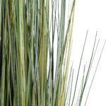PAMPAS GRASS 20072 Τεχνητό Διακοσμητικό Φυτό Γρασίδι της Πάμπας Υ170cm