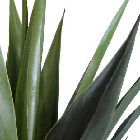 SISAL AGAVE 20078 Τεχνητό Διακοσμητικό Φυτό Αγαύη Υ110cm - Τεχνητοι Κακτοι Sticky 1