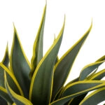 SISAL AGAVE 20081 Artificial Decorative Agave Plant H60cm