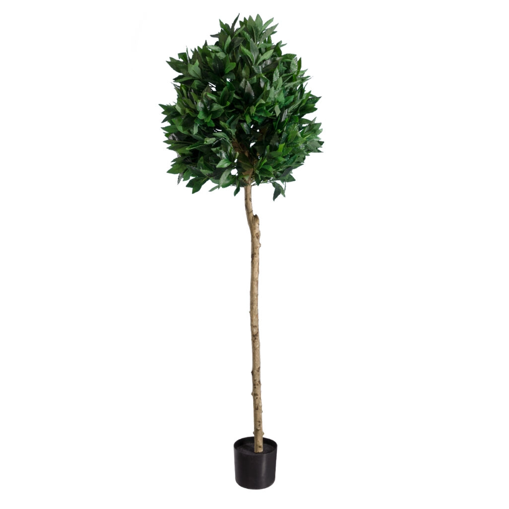 LAUREL 20085 Artificial Decorative Plant Laurel H150cm