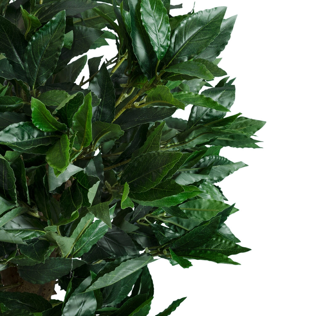 LAUREL 20085 Artificial Decorative Plant Laurel H150cm