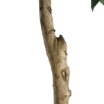 LAUREL 20085 Artificial Decorative Plant Laurel H150cm