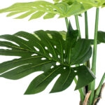 MONSTERA SET 20090 - Τεχνητό Διακοσμητικό Σετ Φυτών Μονστέρα A:Υ300cm B:Υ200cm C:Υ150cm