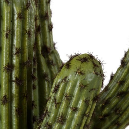CARNEGIEA CACTUS 20100 Τεχνητό Διακοσμητικό Φυτό Κάκτος Σαγκουάρο Υ63cm - Τεχνητοι Κακτοι Sticky 1