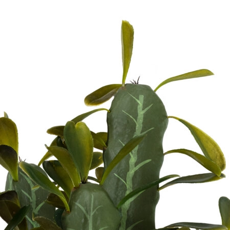 CEREUS JAMACARU CACTUS 20102 Τεχνητό Διακοσμητικό Φυτό Κάκτος Κηρίος Υ62cm - Τεχνητοι Κακτοι Sticky 1