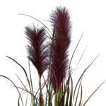 BLOODY PAMPAS GRASS 20110 Τεχνητό Διακοσμητικό Φυτό Αιματόφυλλο Γρασίδι της Πάμπας Υ150cm