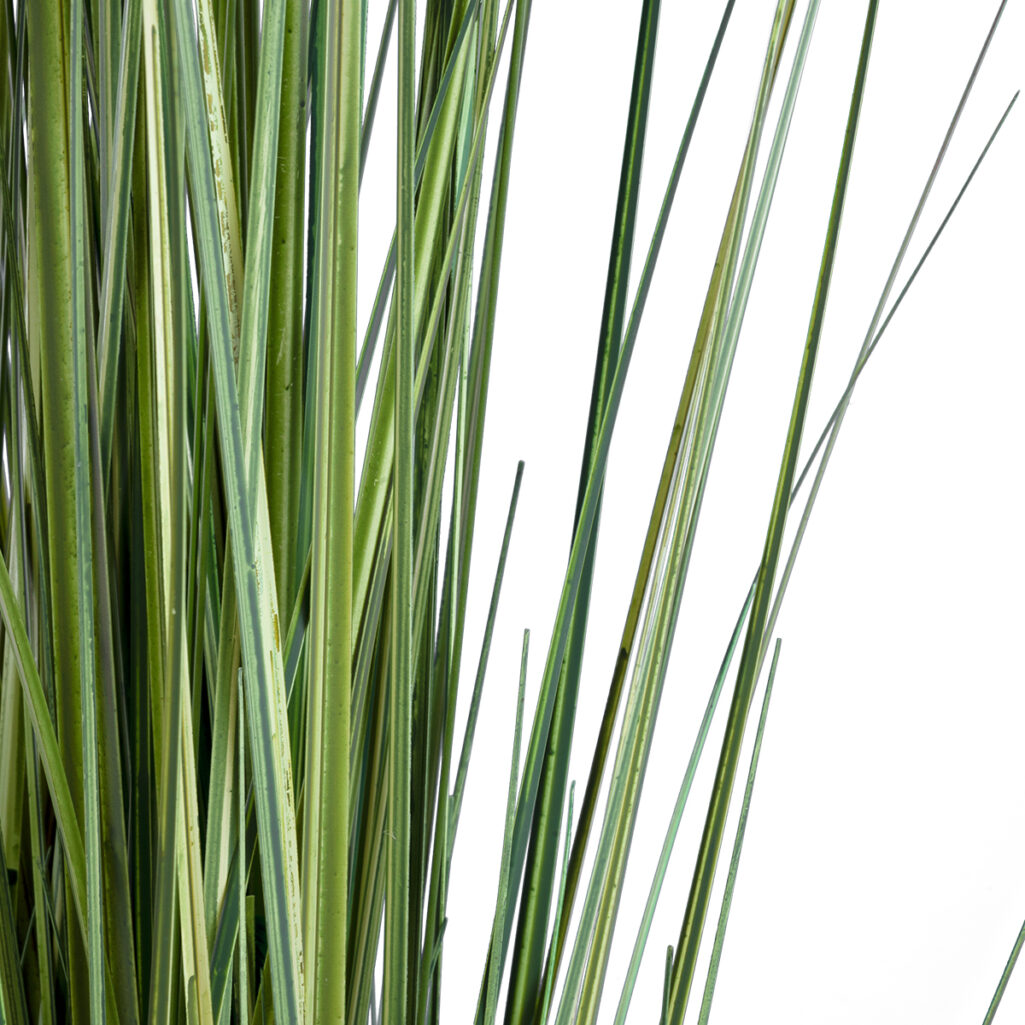 CRASPEDIA GRASS 20112 Τεχνητό Διακοσμητικό Φυτό Κρασπέδια Υ150cm