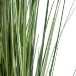 CRASPEDIA GRASS 20112 Τεχνητό Διακοσμητικό Φυτό Κρασπέδια Υ150cm