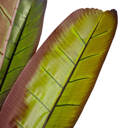BLOODY BANANA TREE 20118 - Τεχνητό Διακοσμητικό Φυτό Αιματόφυλλη Μπανανιά - Μπανανόδεντρο Υ190cm - Τεχνητες Μπανανιες Sticky 1