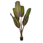 BLOODY BANANA TREE 20119 - Artificial Decorative Plant Bloody Banana Tree - Banana Tree H220cm