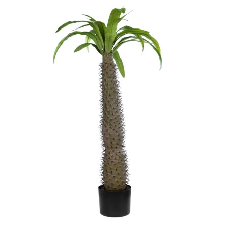 PACHYPODIUM LAMEREI PALM TREE 20129 Τεχνητό Διακοσμητικό Φυτό Φοίνικας της Μαγαδασκάρης Υ105cm - Τεχνητοι Φοινικες