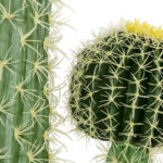 CARNEGIEA CACTUS 20134 Τεχνητό Διακοσμητικό Φυτό Κάκτος Σαγκουάρο Υ150cm