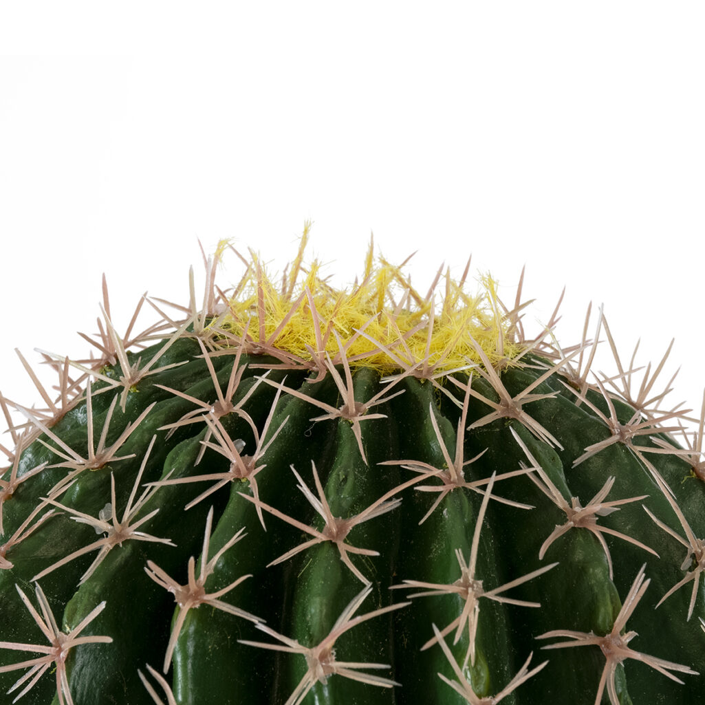 FEROCACTUS 20136 Τεχνητό Διακοσμητικό Φυτό Φερόκακτος Υ55cm