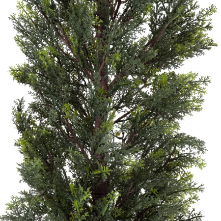 LEMON CYPRESS 20152 Τεχνητό Διακοσμητικό Φυτό Λεμονόκυπάρισσο Υ150cm - Τεχνητα Κωνοφορα και διαμορφωμενα φυτα Sticky 2