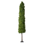 BUXUS 20158 Τεχνητό Διακοσμητικό Φυτό Πυξός Υ250cm