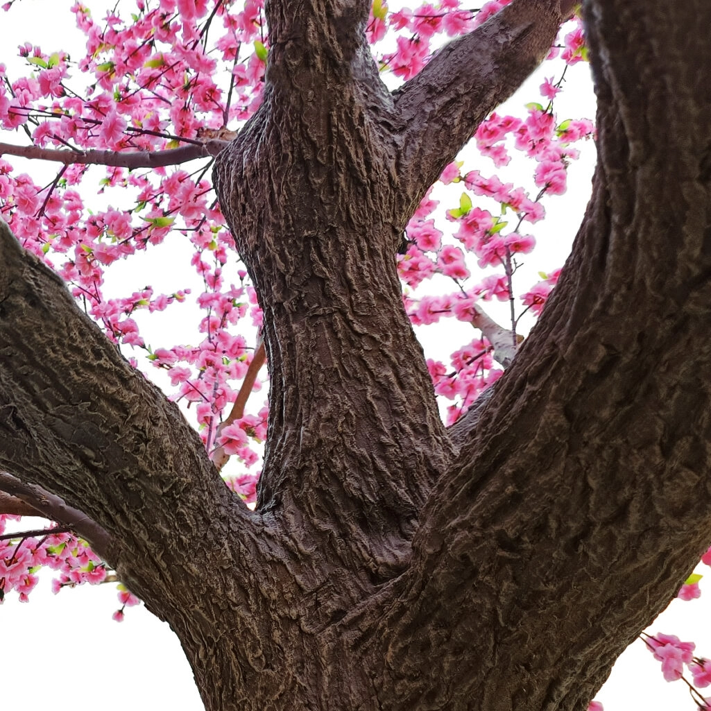PEACH BLOSSOM TREE 20159 Τεχνητό Διακοσμητικό Δέντρο Ανθισμένη Ροδακινιά Υ340cm