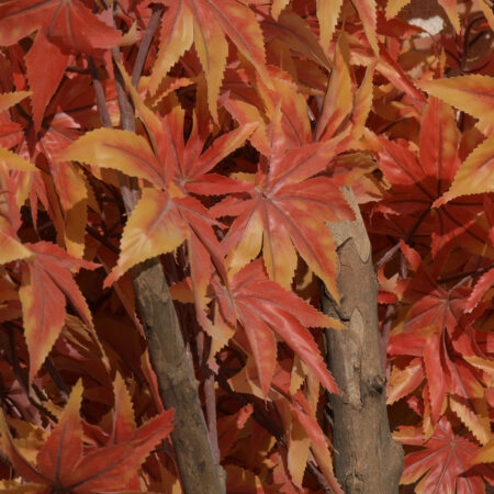 MAPLE TREE 20162 Τεχνητό Διακοσμητικό Δέντρο Σφένδαμος Υ340cm - Τεχνητα Ανθισμένα Δεντρα Sticky 1