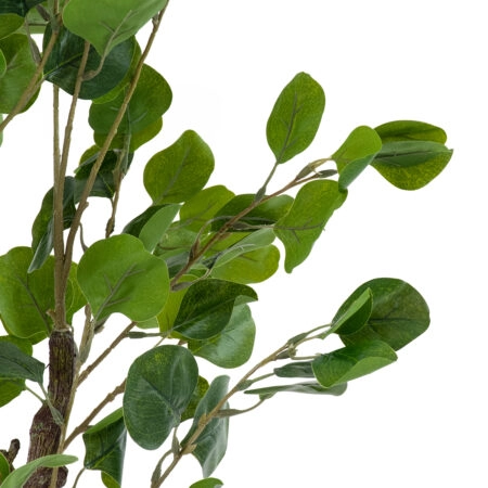 EUCALYPTUS 20190 Τεχνητό Διακοσμητικό Φυτό Ευκάλυπτος Υ120cm - Τεχνητά Φυτά και Δέντρα Sticky 1
