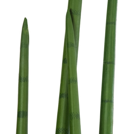 SANSEVIERIA CYLINDRICA 20210 Τεχνητό Διακοσμητικό Φυτό Σανσεβιέρια Υ120cm - Τεχνητοι Κακτοι Sticky 1
