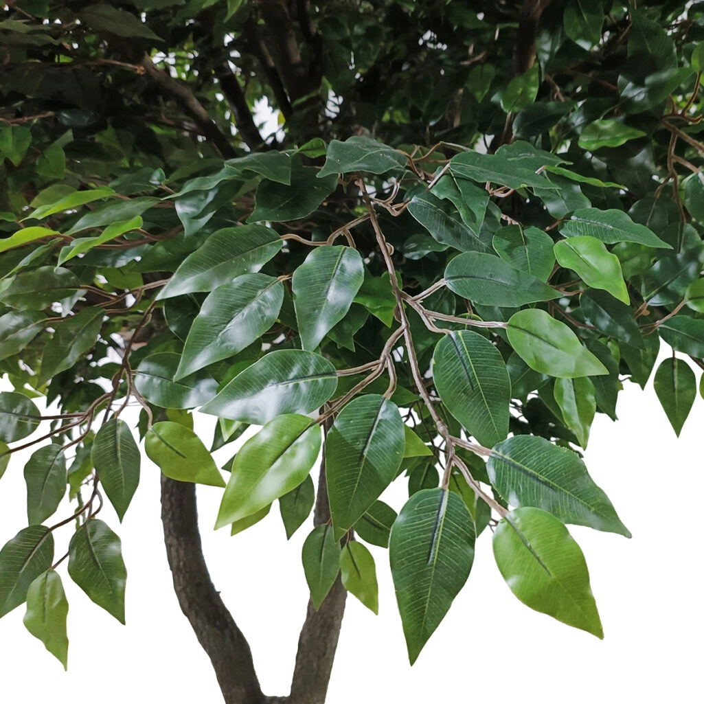 BANYAN FICUS TREE 20361 Τεχνητό Διακοσμητικό Δέντρο Ινδική Συκιά Φίκος Υ300cm