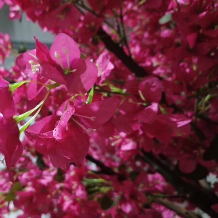 RHODODENDRON TREE 20363 Τεχνητό Διακοσμητικό Δέντρο Ροδόδενδρο Υ350cm - Τεχνητα Ανθισμένα Δεντρα Sticky 1