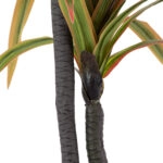 DRAGON BLOOD TREE 20370 - Τεχνητό Διακοσμητικό Φυτό Δράκαινα Υ150cm