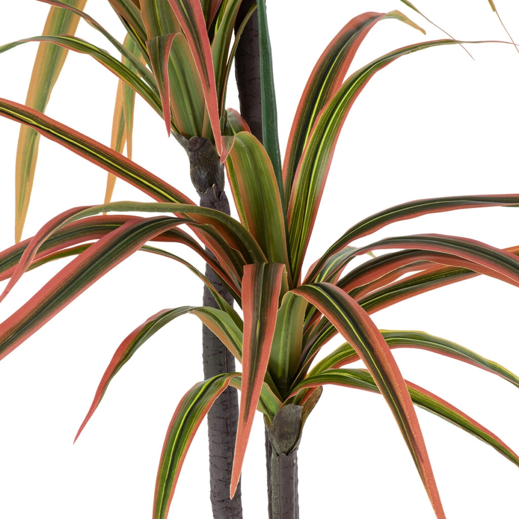 DRAGON BLOOD TREE 20371 - Τεχνητό Διακοσμητικό Φυτό Δράκαινα Υ220cm