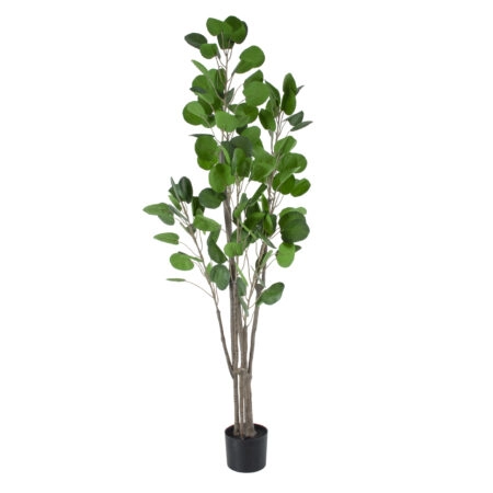 POLYSCIAS BALFOURIANA TREE 20375 Τεχνητό Διακοσμητικό Φυτό Πολυσκιά Υ180cm - Τροπικα και Ιδιαιτερα Τεχνητα φυτα