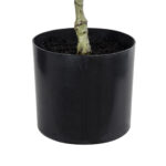 FICUS RELIGIOSA TREE 20376 Τεχνητό Διακοσμητικό Φυτό Ιερή Συκή Υ50cm