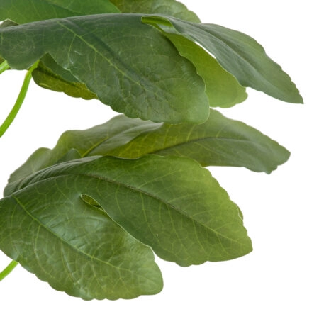 FIG TREE 20380 Τεχνητό Διακοσμητικό Φυτό Συκιά Υ50cm - Τεχνητα Καρποφορα δέντρα Sticky 1