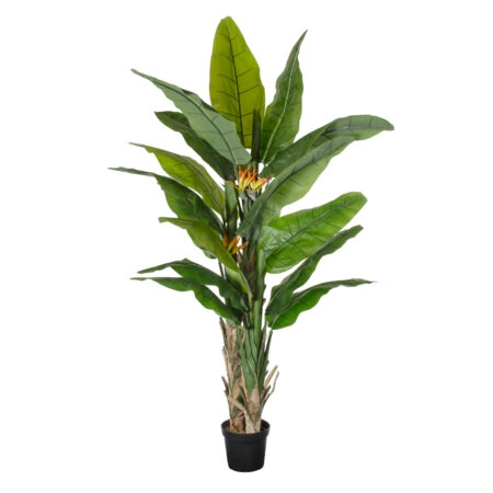 BANANA STRELITZIA REGINAE 20381 - Τεχνητό Διακοσμητικό Φυτό  Μπανανιά - Στρελίτσια - Πουλί του Παραδείσου Υ230cm - Τεχνητες Στρελιτσιες (Πουλι παραδεισου)