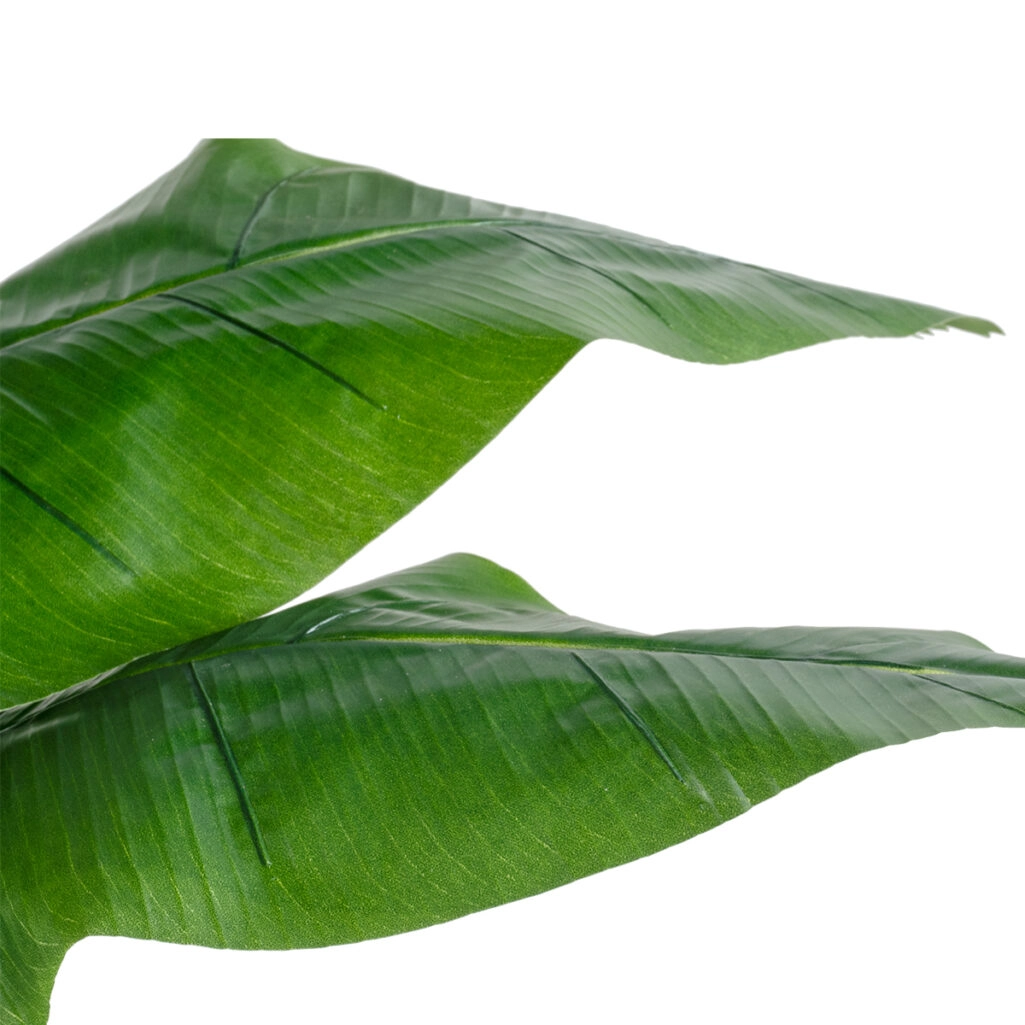 BANANA STRELITZIA REGINAE 20381 - Τεχνητό Διακοσμητικό Φυτό Μπανανιά - Στρελίτσια - Πουλί του Παραδείσου Υ230cm