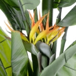 BANANA STRELITZIA REGINAE 20381 - Τεχνητό Διακοσμητικό Φυτό Μπανανιά - Στρελίτσια - Πουλί του Παραδείσου Υ230cm
