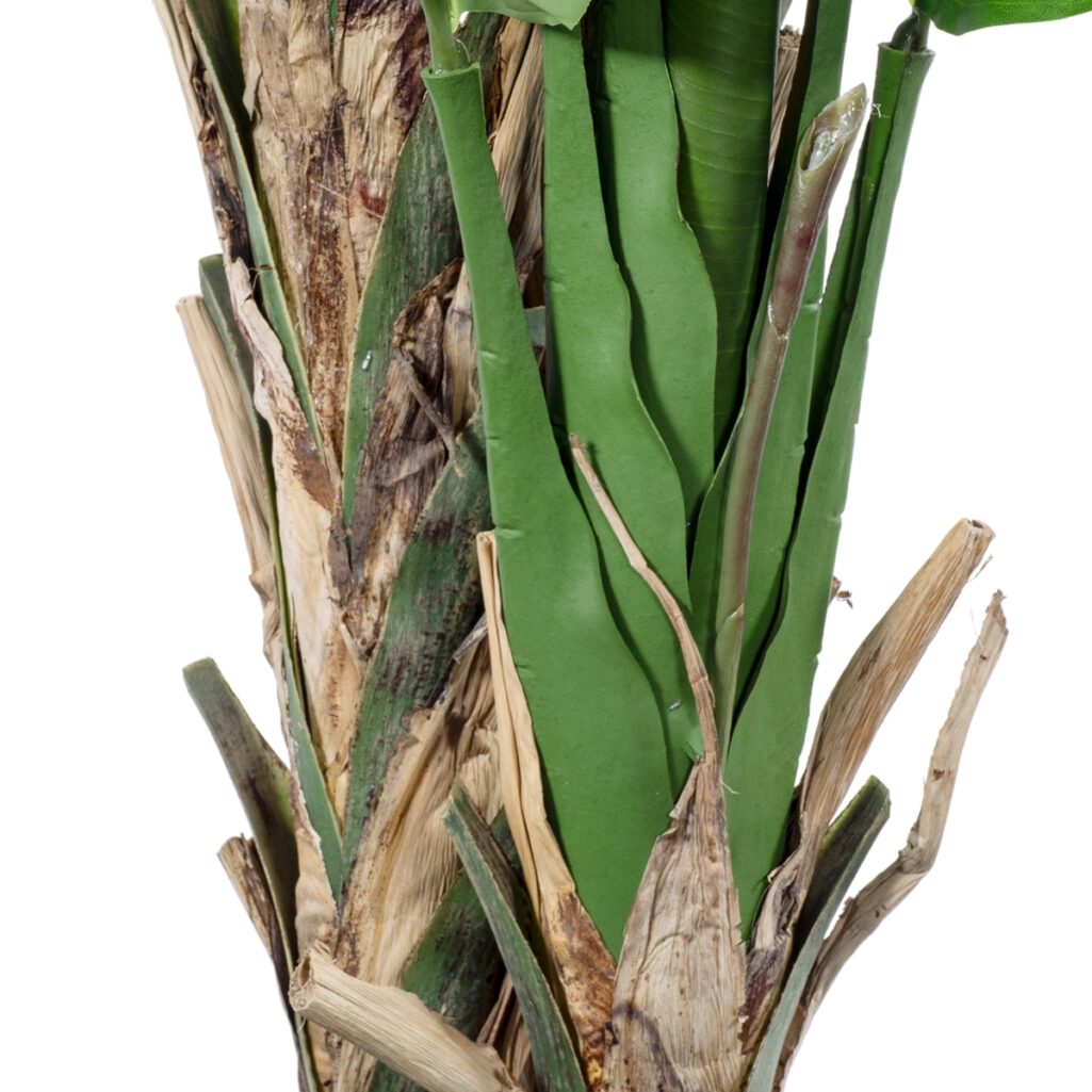 BANANA STRELITZIA REGINAE 20381 - Τεχνητό Διακοσμητικό Φυτό Μπανανιά - Στρελίτσια - Πουλί του Παραδείσου Υ230cm
