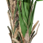 BANANA STRELITZIA REGINAE 20381 - Τεχνητό Διακοσμητικό Φυτό Μπανανιά - Στρελίτσια - Πουλί του Παραδείσου Υ230cm